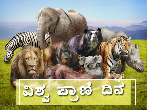 ವಿಶ್ವ ಪ್ರಾಣಿಗಳ ಕಲ್ಯಾಣ ದಿನವನ್ನು ಏಕೆ ಆಚರಿಸುತ್ತಾರೆ ಗೊತ್ತಾ? ವಿಶ್ವ ಪ್ರಾಣಿಗಳ ಕಲ್ಯಾಣ ದಿನವನ್ನು ಏಕೆ ಆಚರಿಸುತ್ತಾರೆ ಗೊತ್ತಾ?