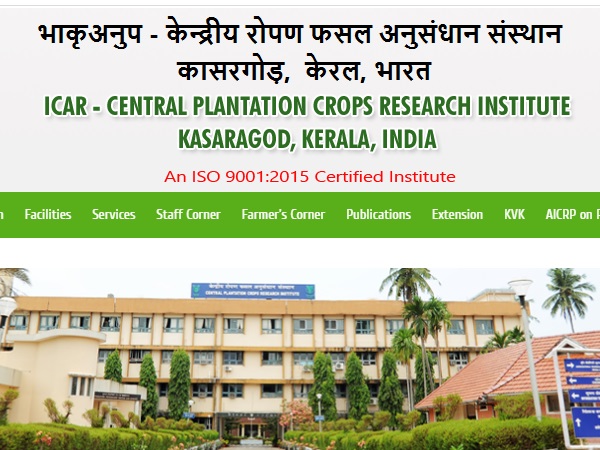 ಕೇಂದ್ರೀಯ ತೋಟದ ಬೆಳೆಗಳ ಸಂಶೋಧನಾ ಸಂಸ್ಥೆಯಲ್ಲಿ ಉದ್ಯೋಗಾವಕಾಶ ಕೇಂದ್ರೀಯ ತೋಟದ ಬೆಳೆಗಳ ಸಂಶೋಧನಾ ಸಂಸ್ಥೆಯಲ್ಲಿ ಉದ್ಯೋಗಾವಕಾಶ